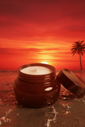 Miami Coconut Shea Lotion