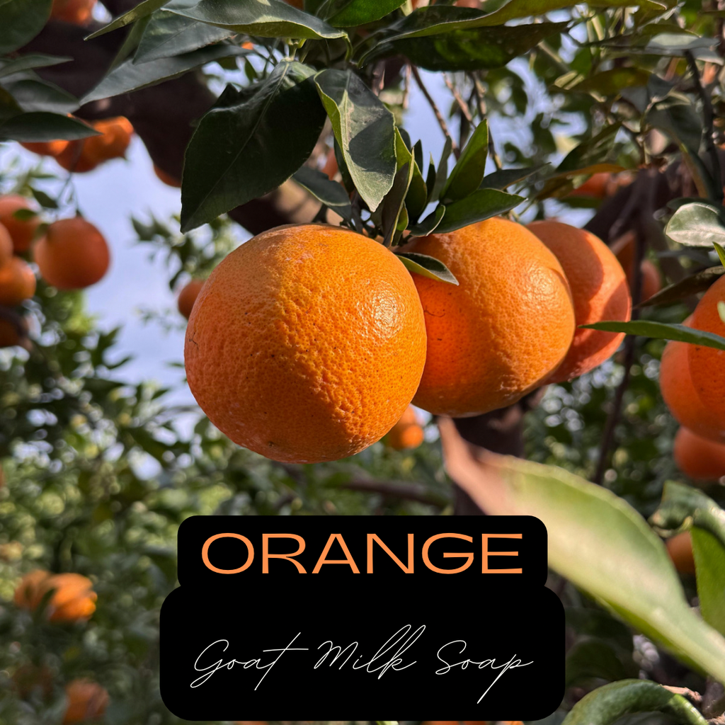 Orange Goat Milk Soap