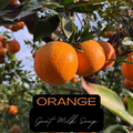 Orange Goat Milk Soap